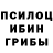 Псилоцибиновые грибы GOLDEN TEACHER Alekseyy Kameron