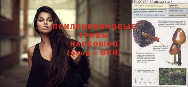 винт Абинск
