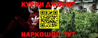 PSILOCYBIN Гусиноозёрск