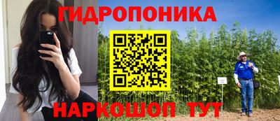 метадон Гусев