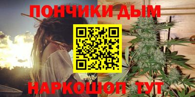 PSILOCYBIN Гусиноозёрск